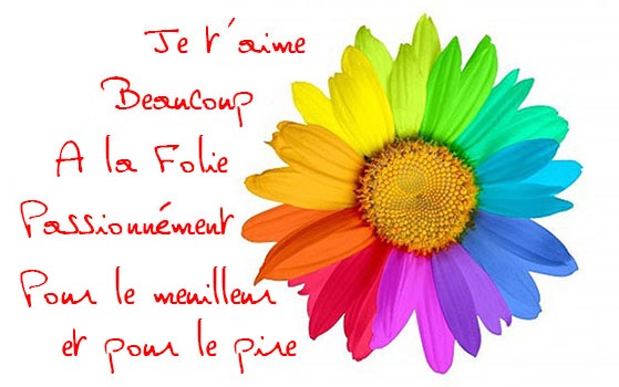 Je t'aime Beaucoup A la Folie - Marguerite Alexandra & Damien